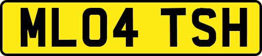 ML04TSH
