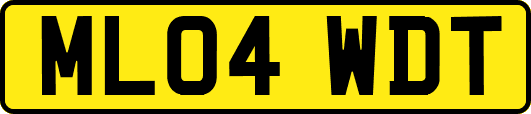 ML04WDT