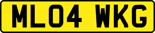 ML04WKG