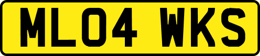 ML04WKS