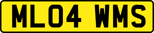 ML04WMS