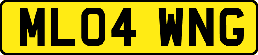 ML04WNG