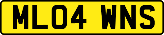 ML04WNS