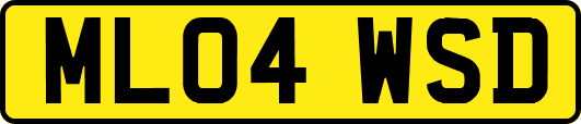 ML04WSD