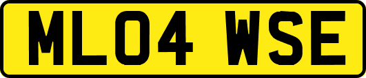 ML04WSE