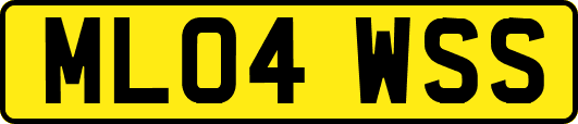 ML04WSS