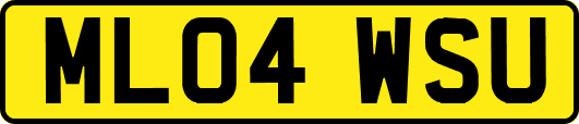 ML04WSU