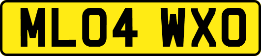 ML04WXO