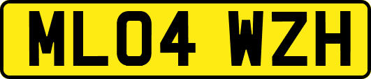 ML04WZH