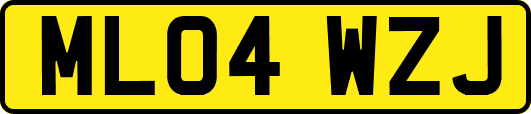 ML04WZJ