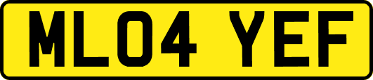 ML04YEF