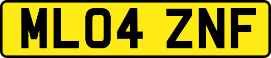 ML04ZNF