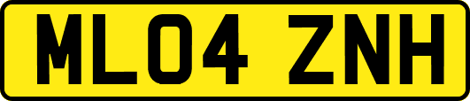 ML04ZNH