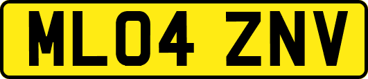 ML04ZNV