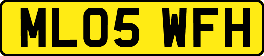 ML05WFH