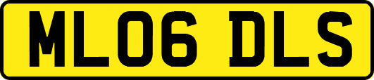 ML06DLS