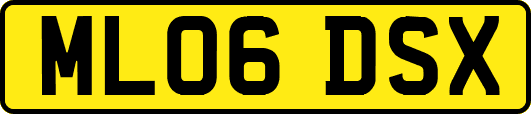 ML06DSX