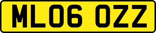 ML06OZZ