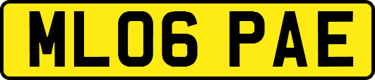 ML06PAE