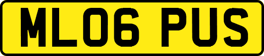 ML06PUS