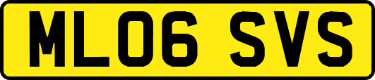 ML06SVS