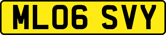 ML06SVY