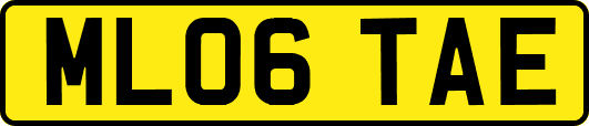 ML06TAE