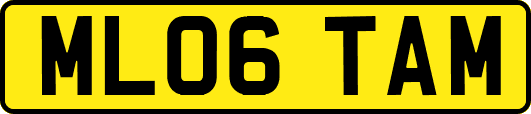 ML06TAM