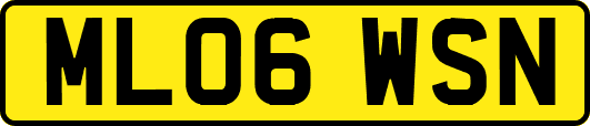 ML06WSN