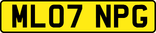 ML07NPG