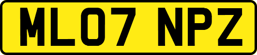 ML07NPZ