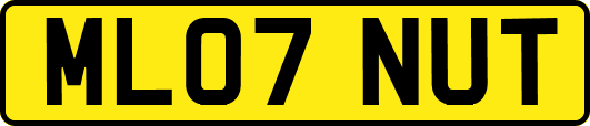 ML07NUT