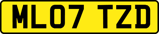 ML07TZD
