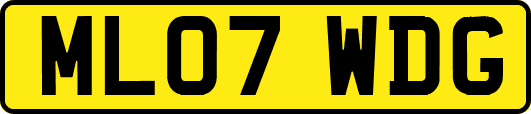 ML07WDG