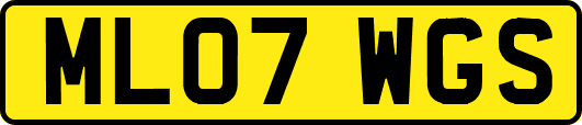 ML07WGS