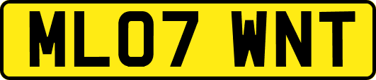 ML07WNT