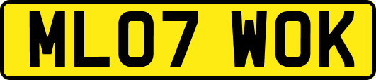 ML07WOK