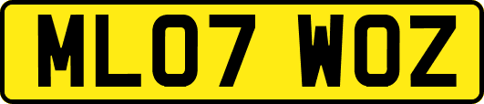 ML07WOZ