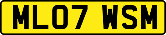 ML07WSM