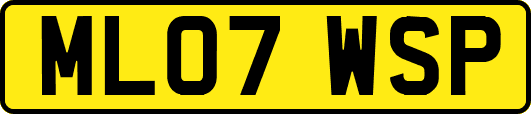 ML07WSP