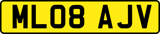 ML08AJV
