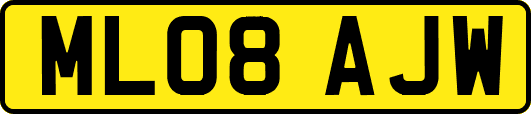 ML08AJW