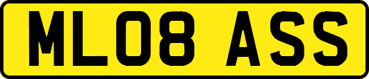 ML08ASS