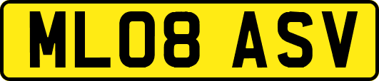 ML08ASV