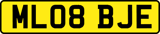 ML08BJE