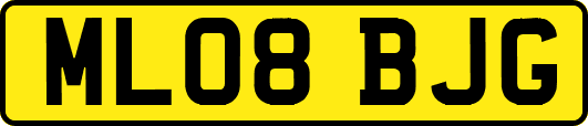 ML08BJG