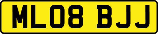 ML08BJJ