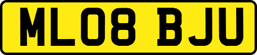 ML08BJU