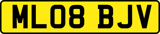 ML08BJV