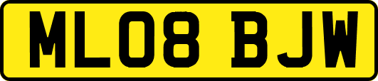 ML08BJW